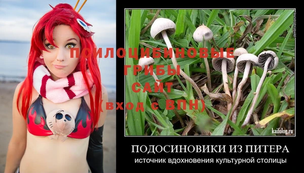 первитин Алексеевка